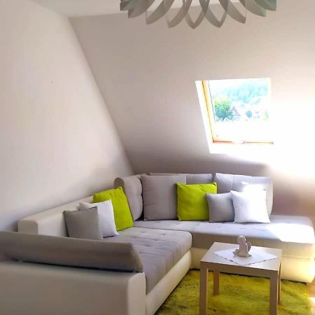 Apartmán Widok Na Sniezke Miłków Exteriér fotografie